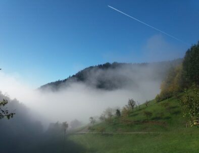 6b9374bf-74df-405d-9119-ed3a14b54801