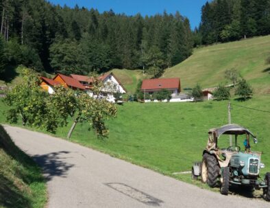 6eaa18c5-b1de-45a8-b707-a05cd3e43ddf