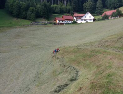 9336a120-0a7e-41da-9469-f461e66dabe3