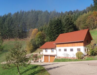 abae28a9-798d-443f-b154-a3026a881989